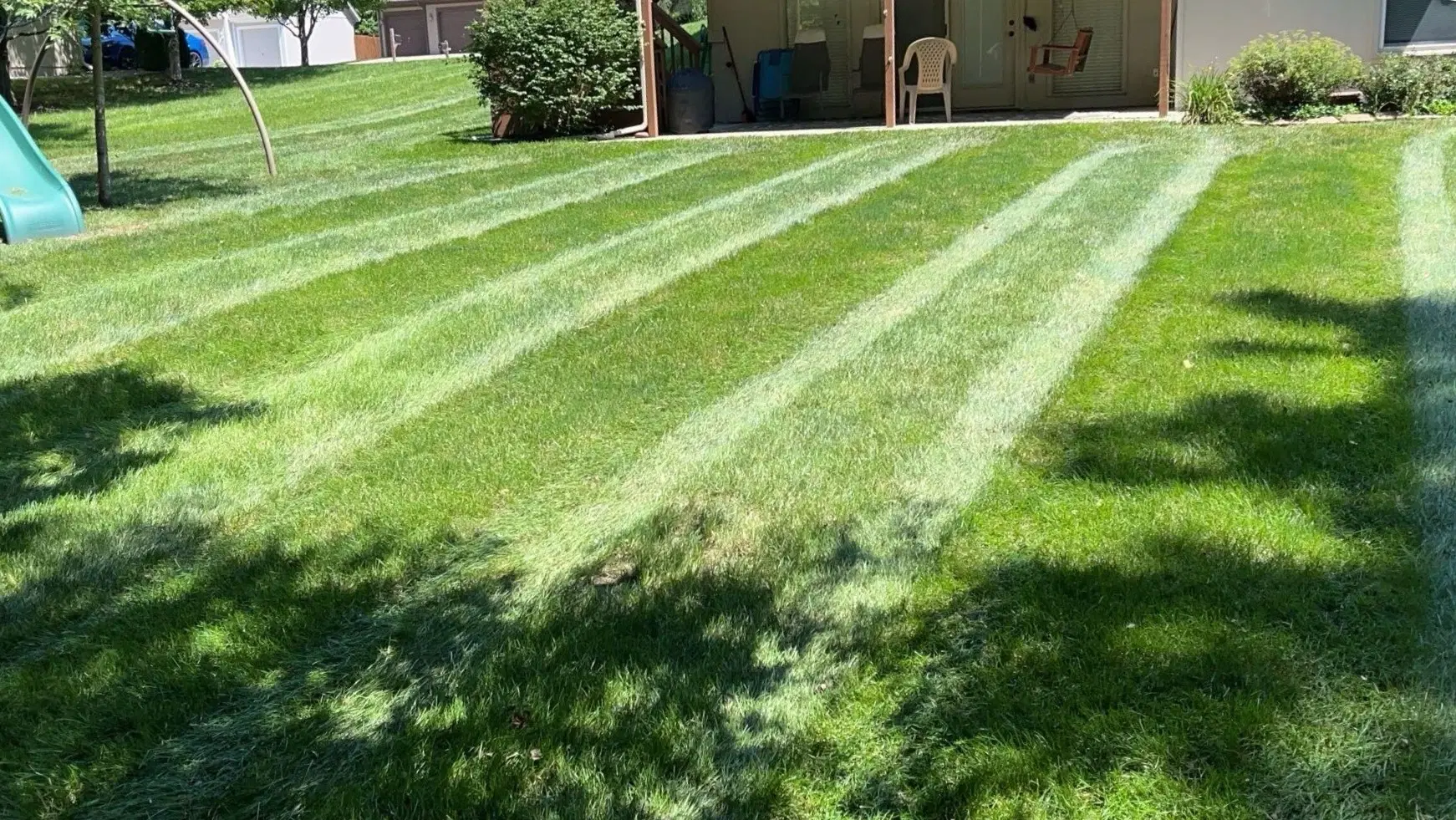 Freshly mowed lawn
